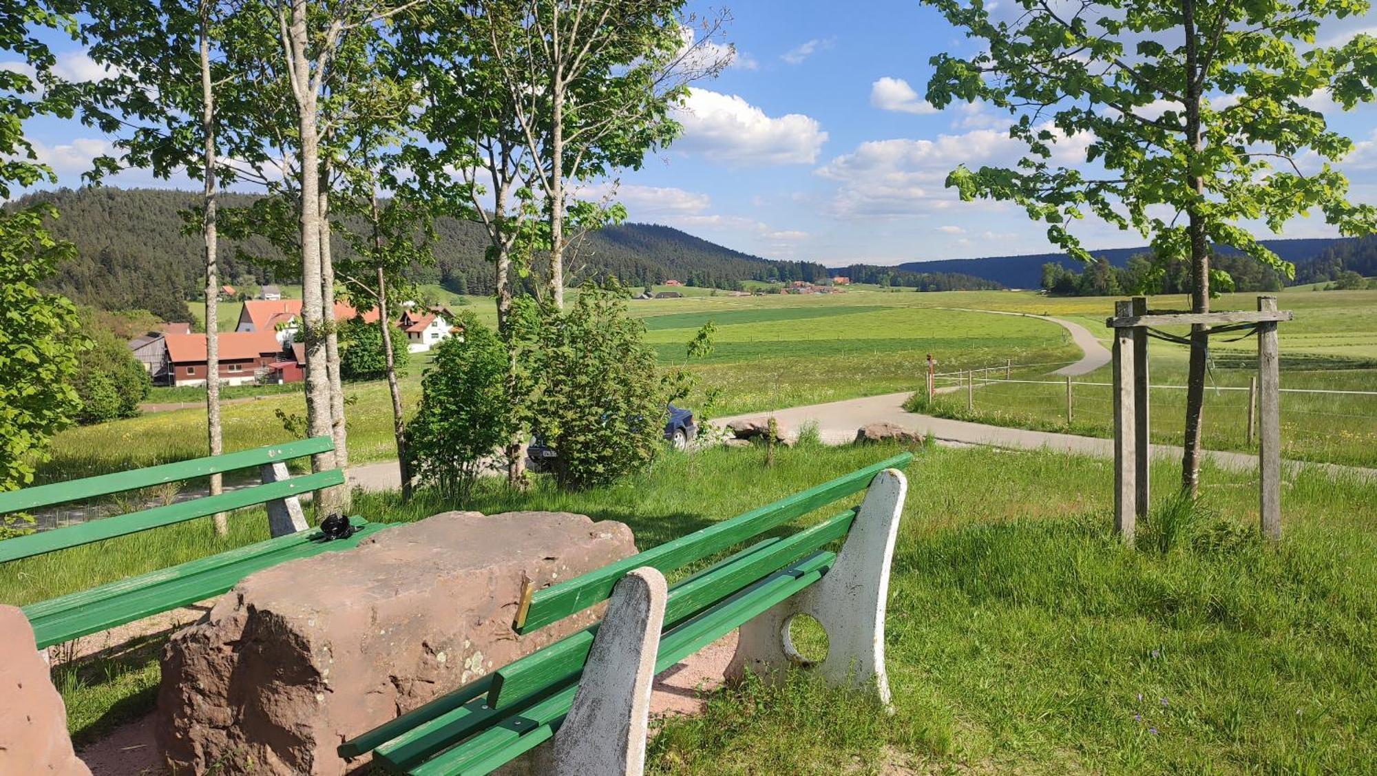 Haus Wander-Lust Apartment Lauterbach  Bagian luar foto